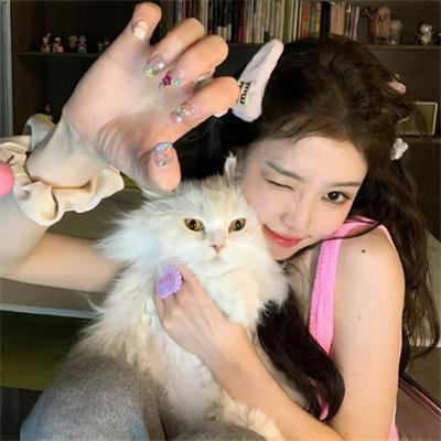 叉叉问了一个问题