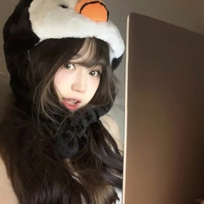 总统的夫人海报